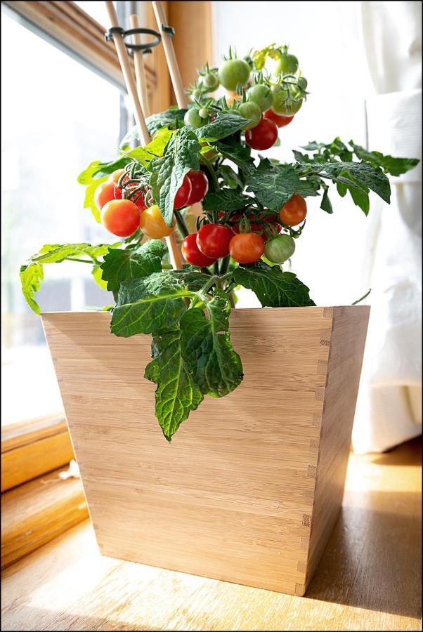 Markt Eins Gaestezimmer Schoppenstedt エクステリア 写真